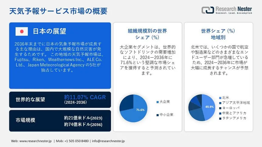 Weather Forecasting Service Market Overview (1)